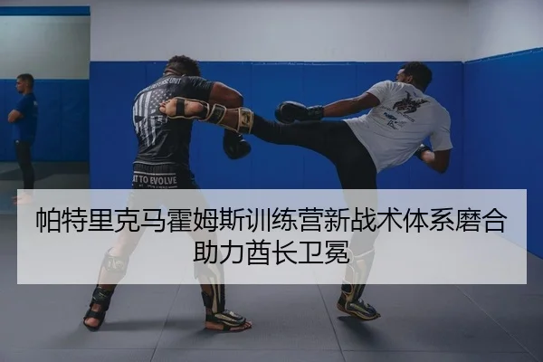 pa-te-li-ke-ma-huo-mu-si-xun-lian-ying-xin-zhan-shu-ti-xi-mo-he-zhu-li-qiu-zhang-wei-mian-2-697.jpg