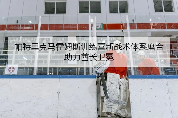 帕特里克马霍姆斯训练营新战术体系磨合助力酋长卫冕
