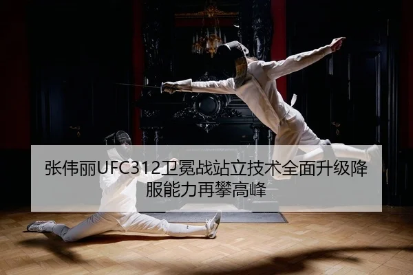 zhang-wei-li-wei-mian-zhan-zhan-li-ji-shu-quan-mian-sheng-ji-xiang-fu-neng-li-zai-pan-gao-feng-2-963.jpg